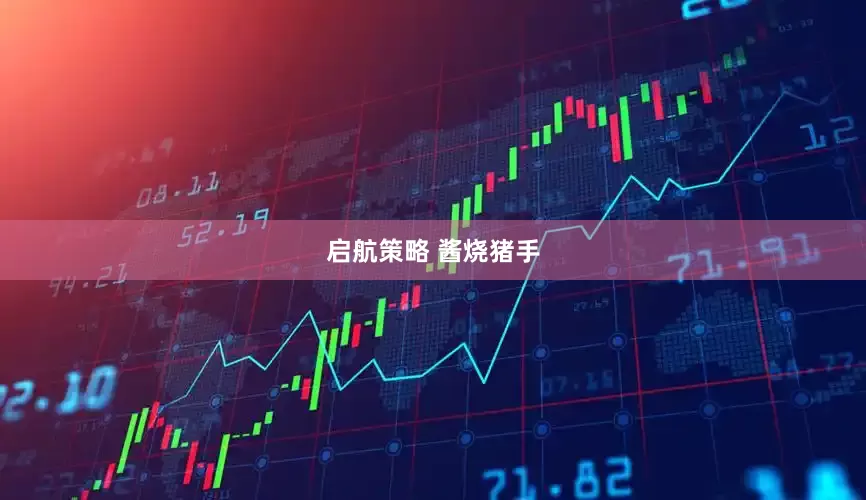 启航策略 酱烧猪手