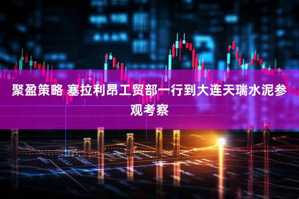 聚盈策略 塞拉利昂工贸部一行到大连天瑞水泥参观考察